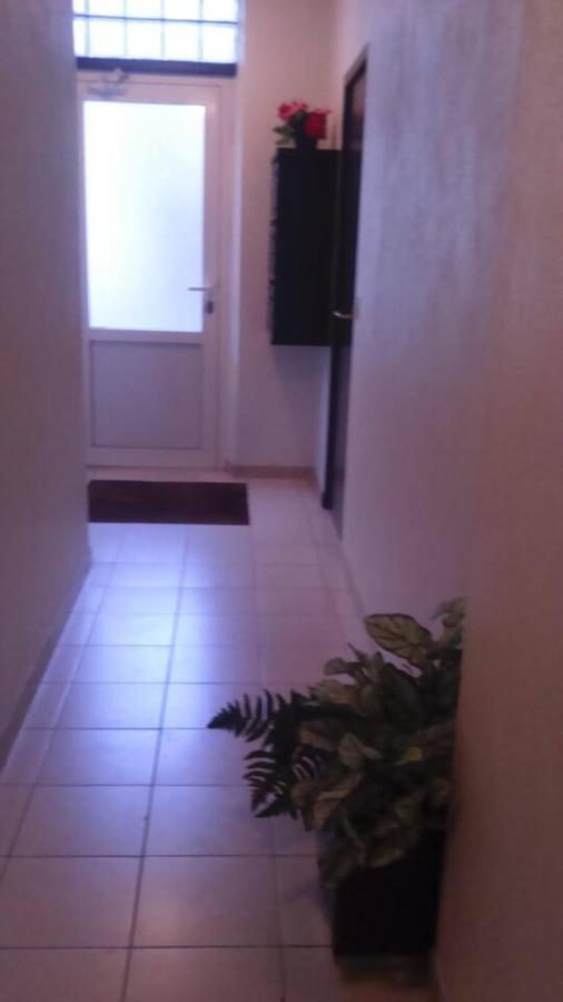 Appartement Cosy Entre Bosquet Et Beaumont Pau Extérieur photo
